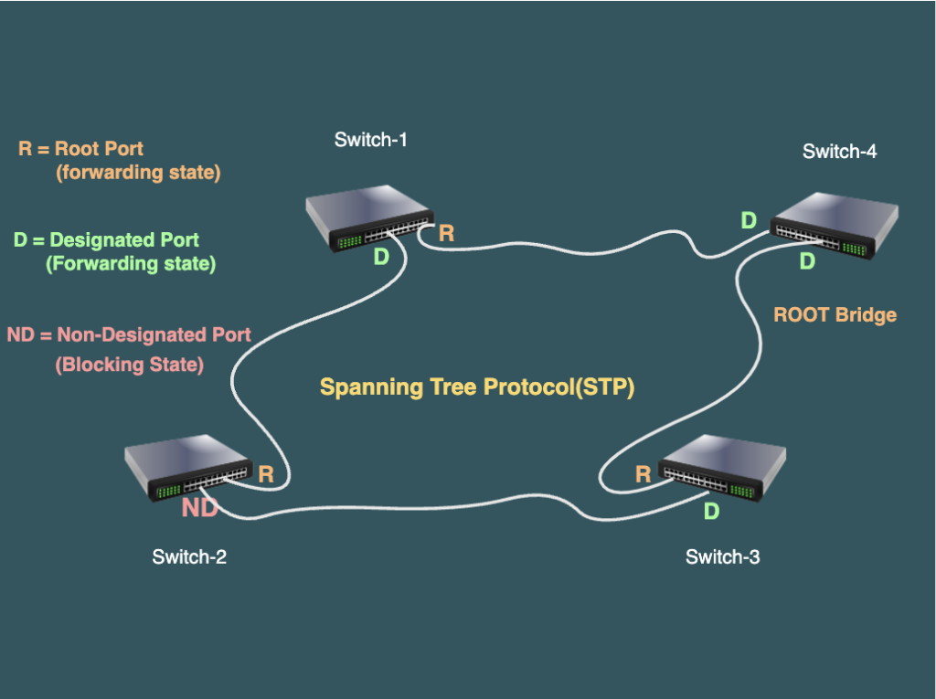 Root Bridge and associated Ports role in Spanning Tree Protocol(STP)