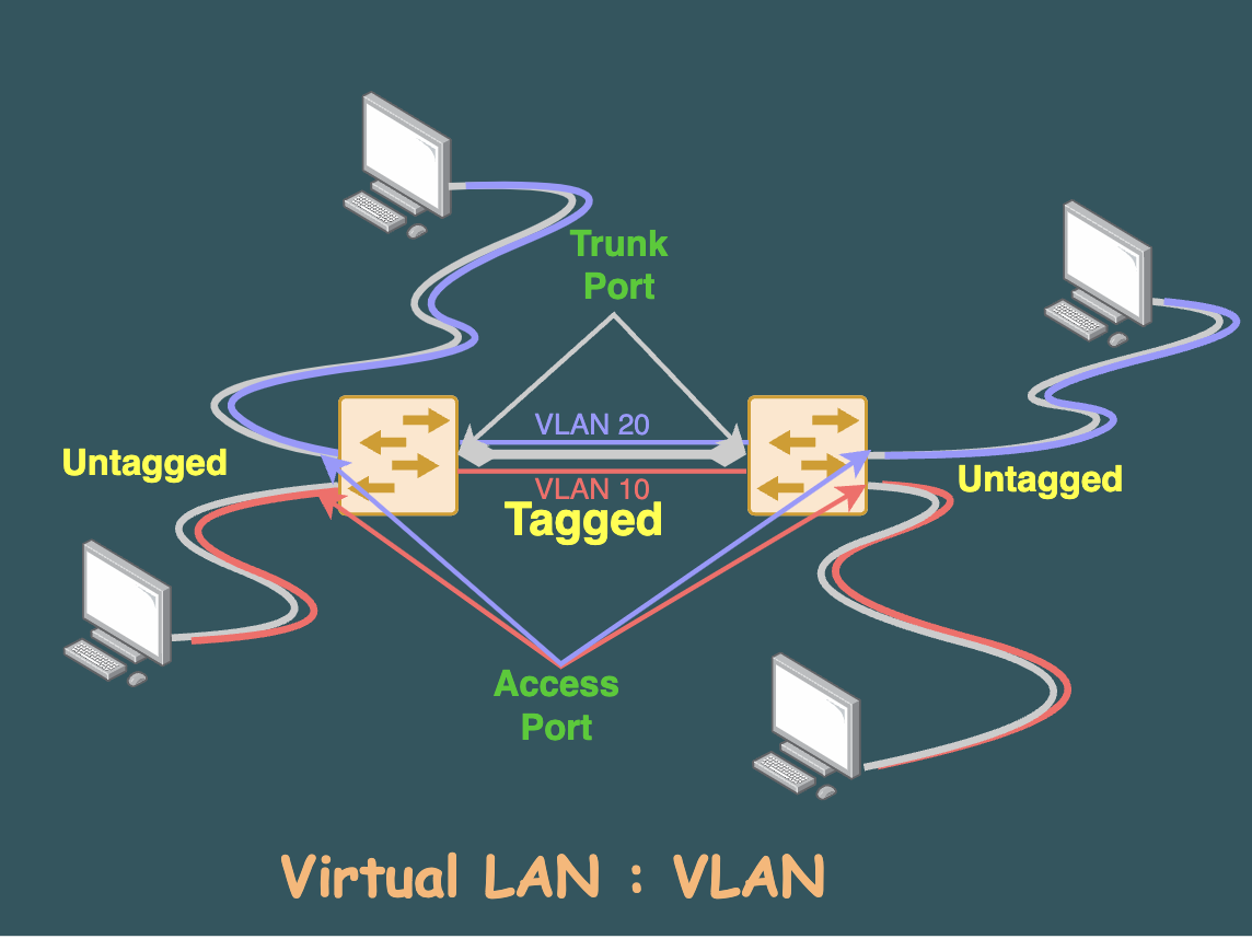 Network Segmented Logically via VLAN